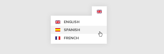 طراحی سایت چند زبانه